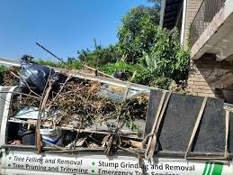 Retail Junk Removal in Woodville, FL